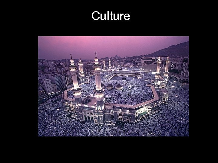 Culture 