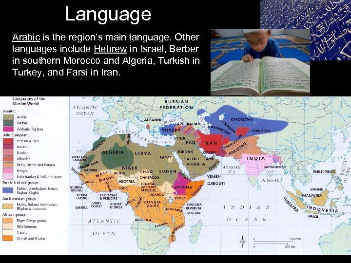 Language Arabic is the region’s main language. Other languages include Hebrew in Israel, Berber