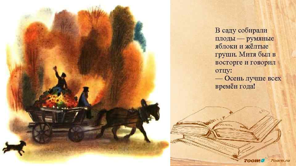 В саду собирали плоды — румяные яблоки и жёлтые груши. Митя был в восторге