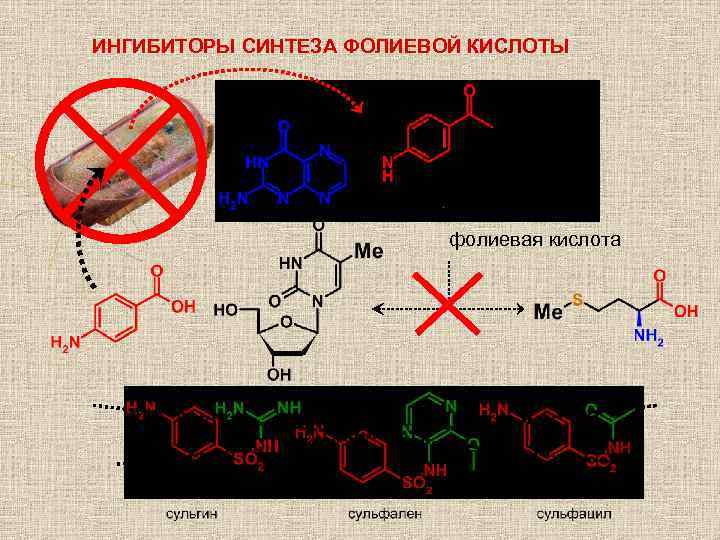 ИНГИБИТОРЫ СИНТЕЗА ФОЛИЕВОЙ КИСЛОТЫ фолиевая кислота 