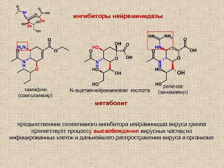Ингибиторы нейраминидазы препараты