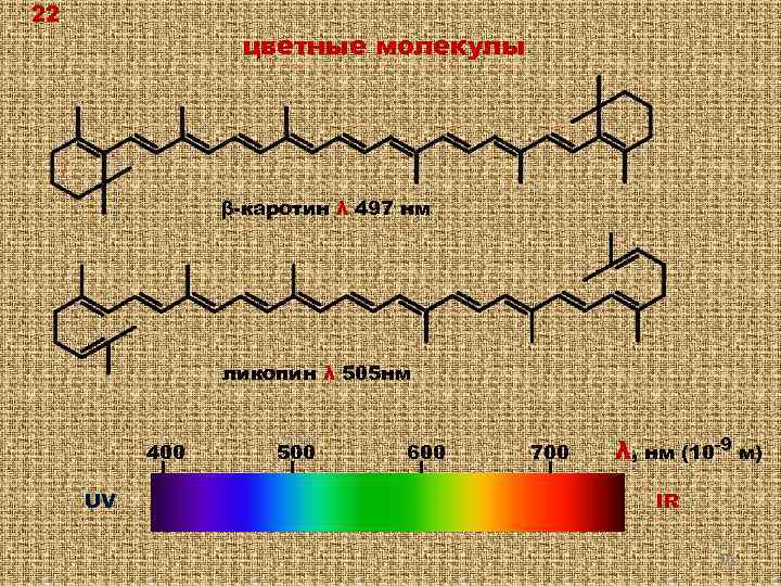 22 цветные молекулы β-каротин λ 497 нм ликопин λ 505 нм 400 UV 500