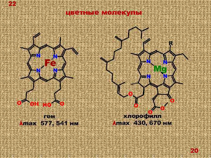 22 цветные молекулы гем λmax 577, 541 нм хлорофилл λmax 430, 670 нм 20