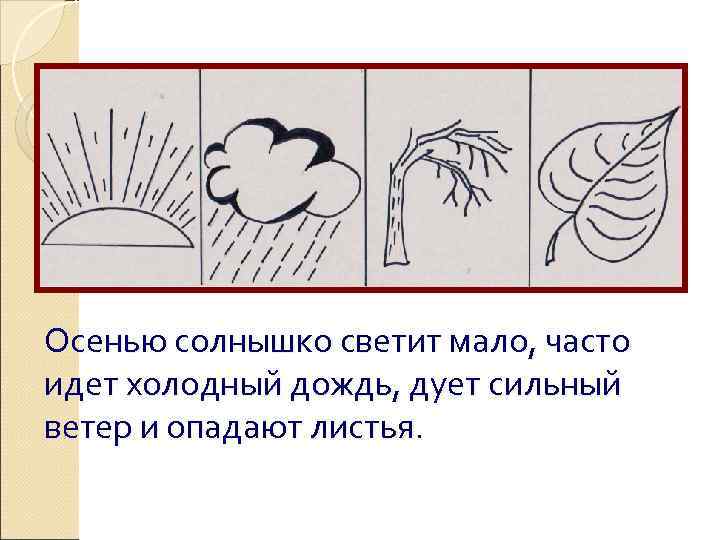 Осенью солнышко светит мало, часто идет холодный дождь, дует сильный ветер и опадают листья.