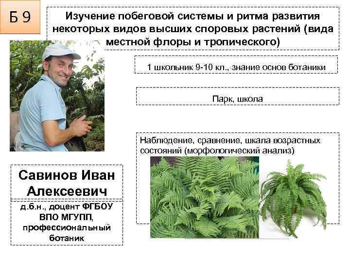 Б 9 Изучение побеговой системы и ритма развития некоторых видов высших споровых растений (вида