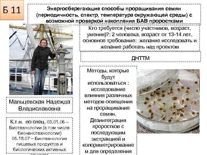 Б 11 Энергосберегающие способы проращивания семян (периодичность, спектр, температура окружающей среды) с возможной проверкой