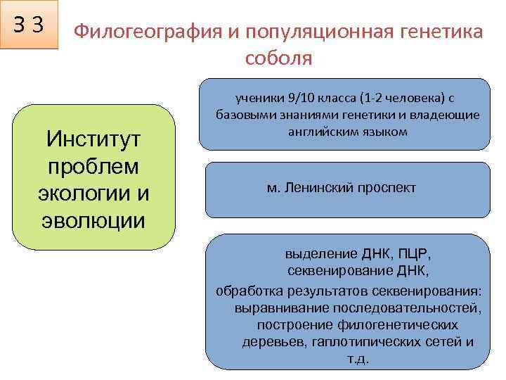 З 3 Филогеография и популяционная генетика соболя Институт проблем экологии и эволюции ученики 9/10