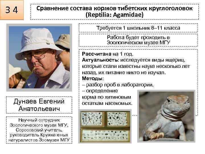 З 4 Сравнение состава кормов тибетских круглоголовок (Reptilia: Agamidae) Требуется 1 школьник 8– 11