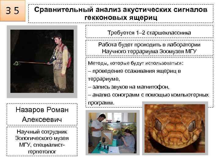 З 5 Сравнительный анализ акустических сигналов гекконовых ящериц Требуется 1– 2 старшеклассника Работа будет