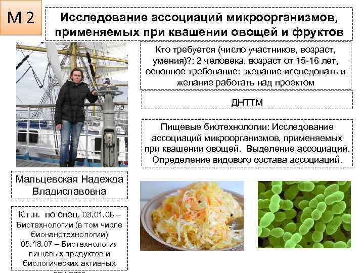 М 2 Исследование ассоциаций микроорганизмов, применяемых при квашении овощей и фруктов Кто требуется (число