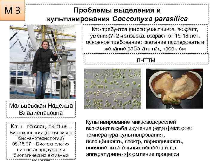 М 3 Проблемы выделения и культивирования Coccomyxa parasitica Кто требуется (число участников, возраст, умения)?