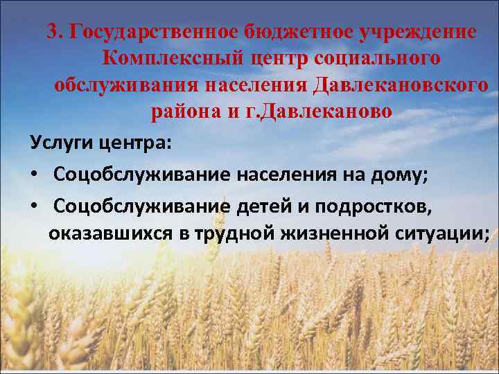 Государственное бюджетное учреждение социального обслуживания. Основные фонды Давлекановского Мун района.