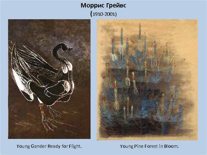 Моррис Грейвс (1910 -2001) Young Gander Ready for Flight. Young Pine Forest in Bloom.