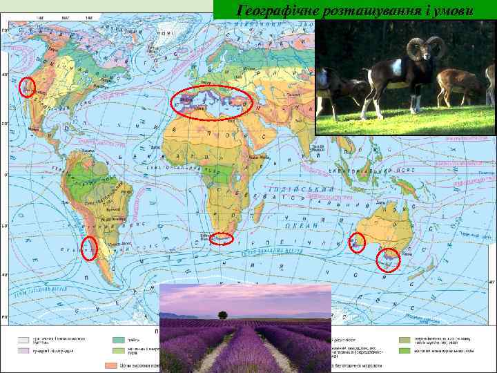 Географічне розташування і умови 