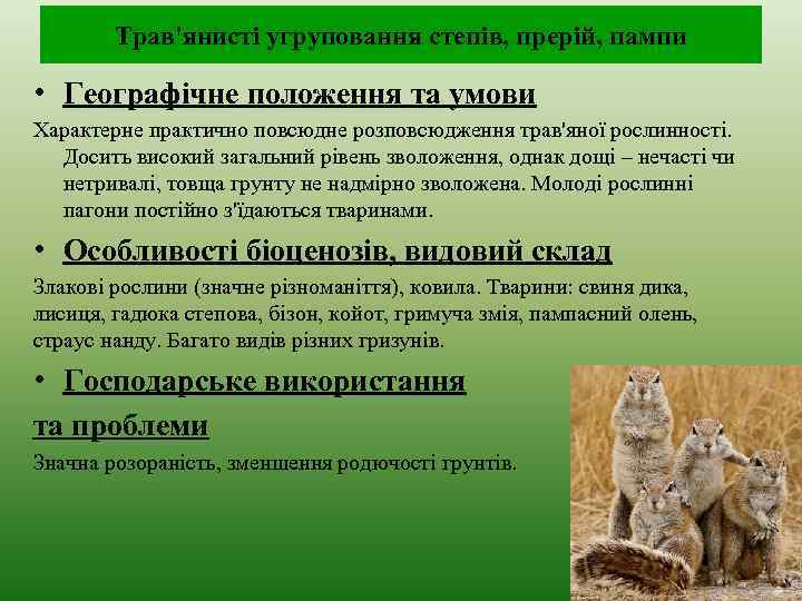 Трав'янисті угруповання степів, прерій, пампи • Географічне положення та умови Характерне практично повсюдне розповсюдження