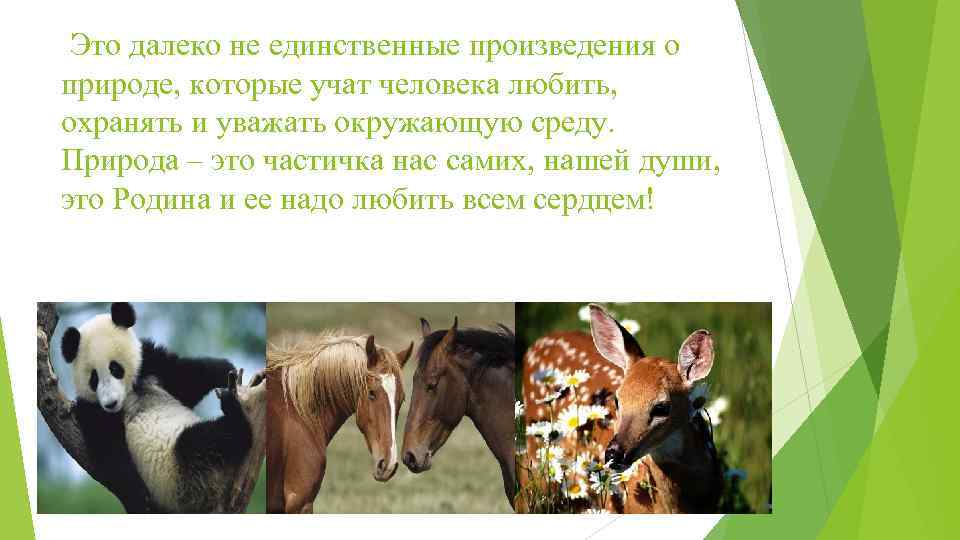 Это далеко не единственные произведения о природе, которые учат человека любить, охранять и уважать