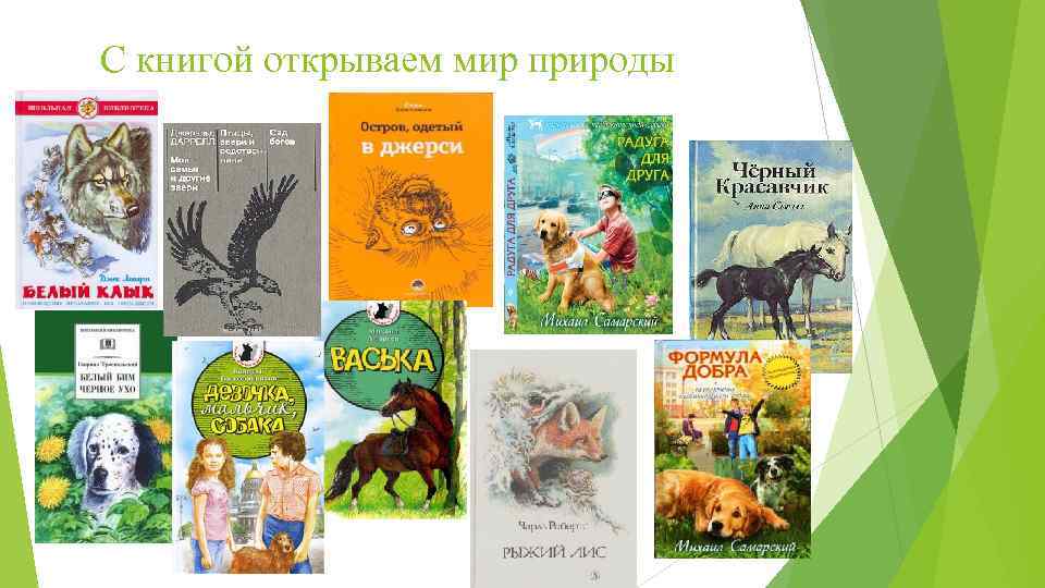 С книгой открываем мир природы 