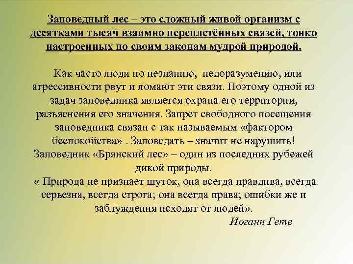 Заповедный лес – это сложный живой организм с десятками тысяч взаимно переплетённых связей, тонко