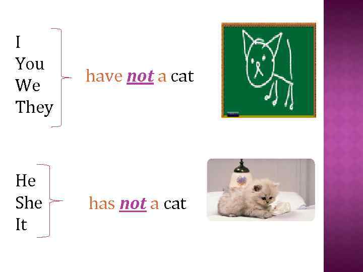 I You We They have not a cat He She It has not a