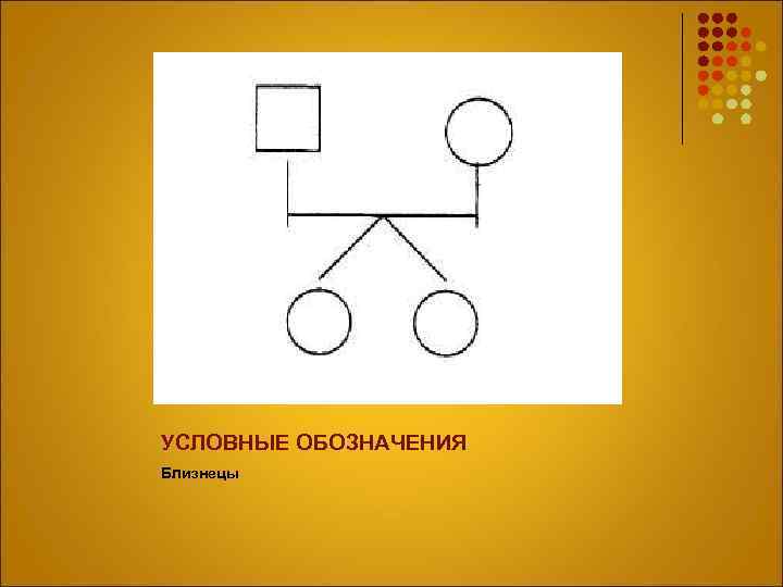 УСЛОВНЫЕ ОБОЗНАЧЕНИЯ Близнецы 