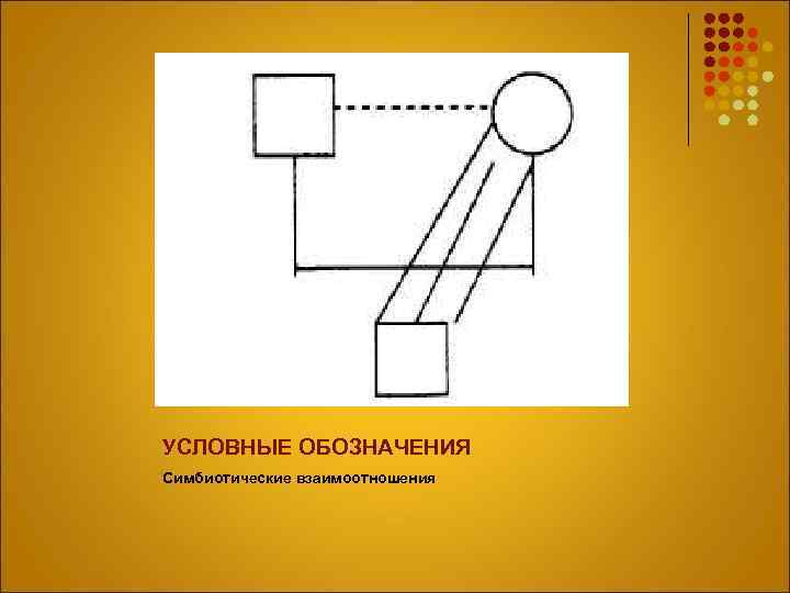 УСЛОВНЫЕ ОБОЗНАЧЕНИЯ Симбиотические взаимоотношения 