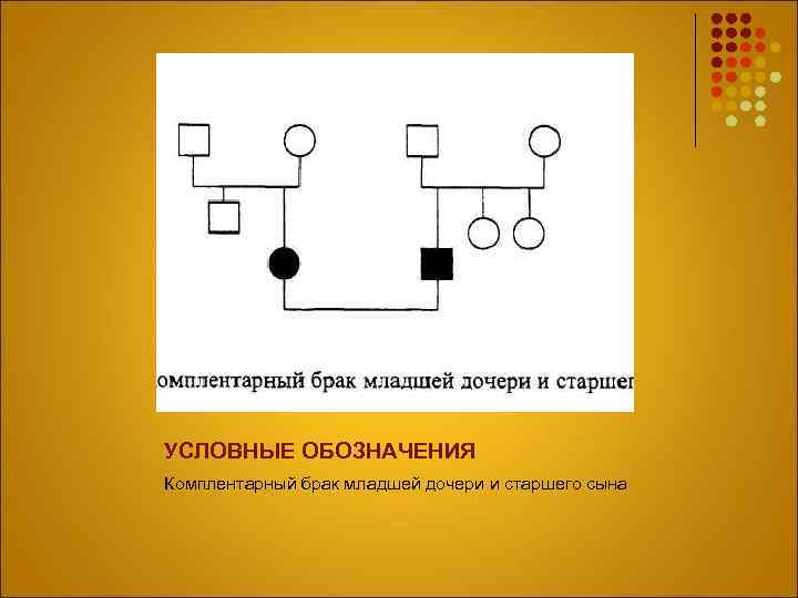 УСЛОВНЫЕ ОБОЗНАЧЕНИЯ Комплентарный брак младшей дочери и старшего сына 