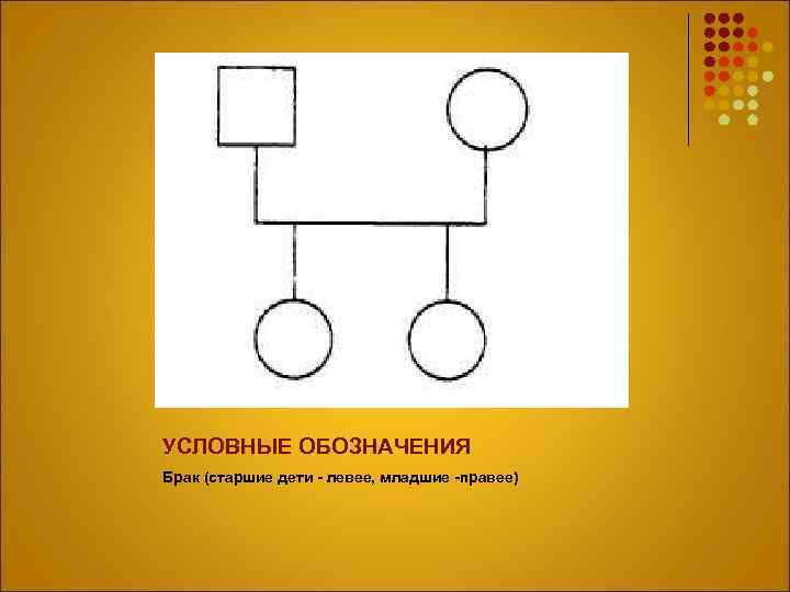 УСЛОВНЫЕ ОБОЗНАЧЕНИЯ Брак (старшие дети - левее, младшие -правее) 