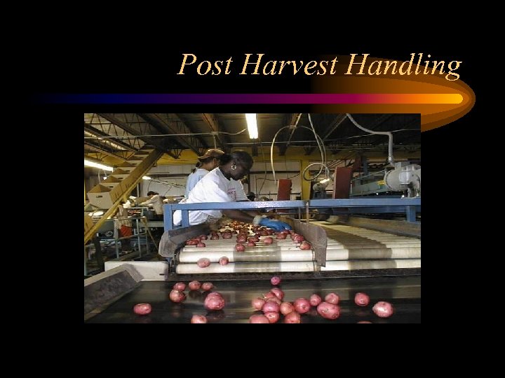 Post Harvest Handling 