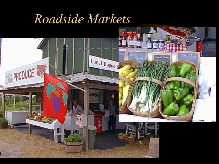 Roadside Markets 