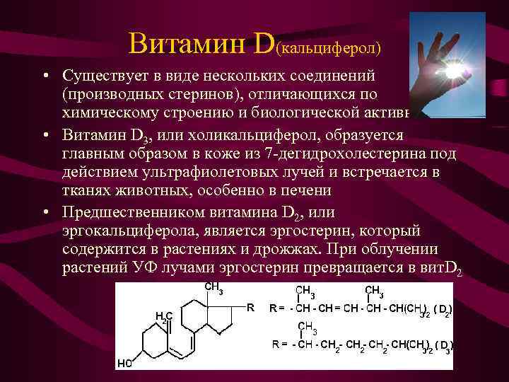 Биороль витаминов презентация