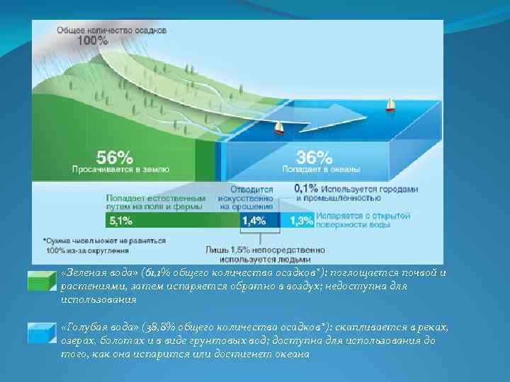  «Зеленая вода» (61, 1% общего количества осадков*): поглощается почвой и растениями, затем испаряется