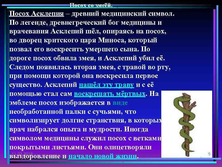 Посох со змеёй. Посох Асклепия – древний медицинский символ. По легенде, древнегреческий бог медицины