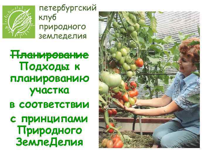 Планирование Подходы к планированию участка в соответствии с принципами Природного Земле. Делия 