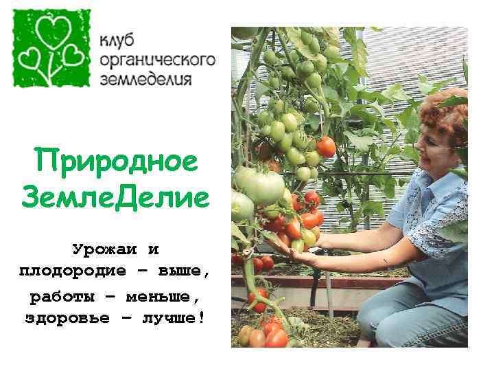 Природное Земле. Делие Урожаи и плодородие – выше, работы – меньше, здоровье – лучше!