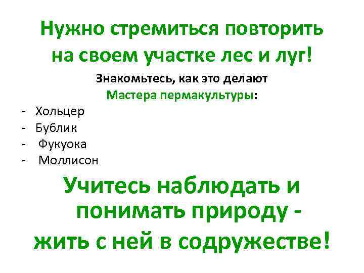 Нужно стремиться повторить на своем участке лес и луг! - Знакомьтесь, как это делают