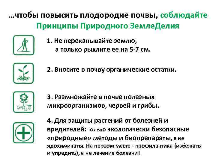 …чтобы повысить плодородие почвы, соблюдайте Принципы Природного Земле. Делия 1. Не перекапывайте землю, а