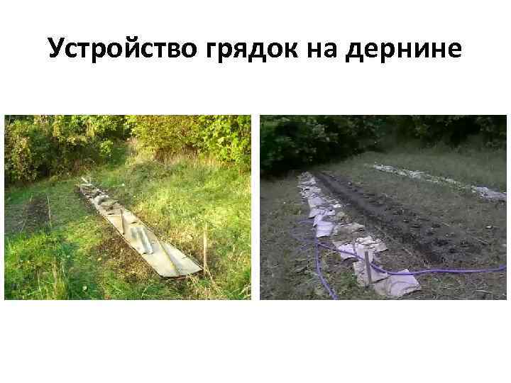 Устройство грядок на дернине 