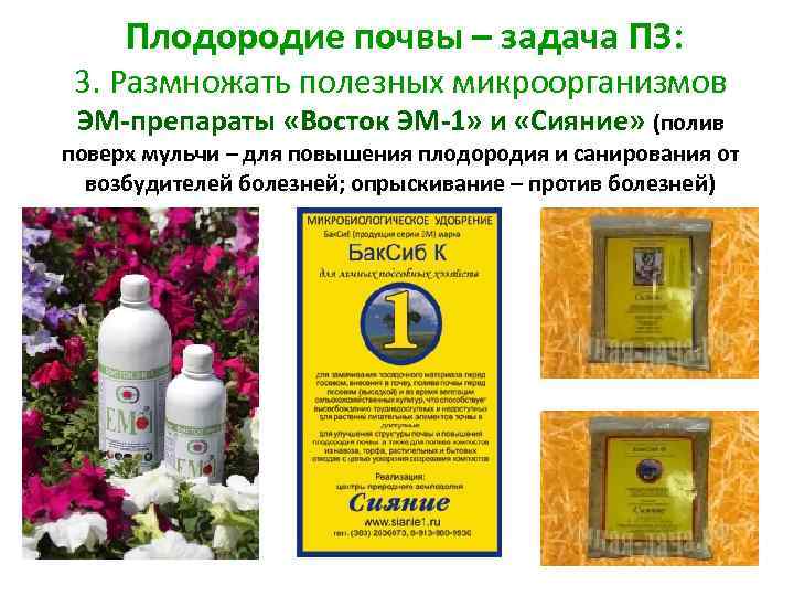  Плодородие почвы – задача ПЗ: 3. Размножать полезных микроорганизмов ЭМ-препараты «Восток ЭМ-1» и