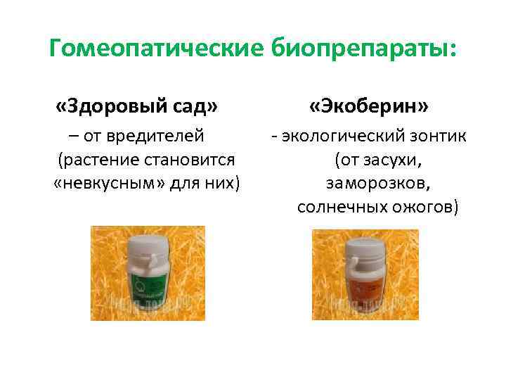 Гомеопатические биопрепараты: «Здоровый сад» – от вредителей (растение становится «невкусным» для них) «Экоберин» -