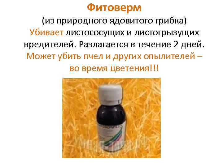 Фитоверм (из природного ядовитого грибка) Убивает листососущих и листогрызущих вредителей. Разлагается в течение 2