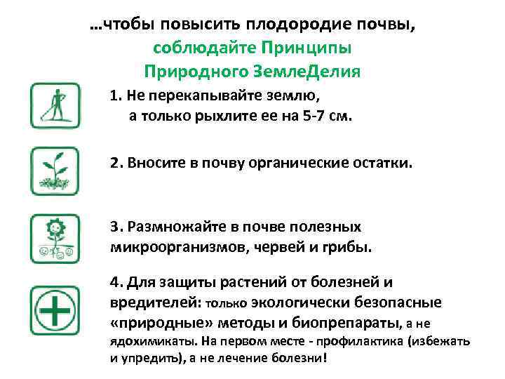 …чтобы повысить плодородие почвы, соблюдайте Принципы Природного Земле. Делия 1. Не перекапывайте землю, а