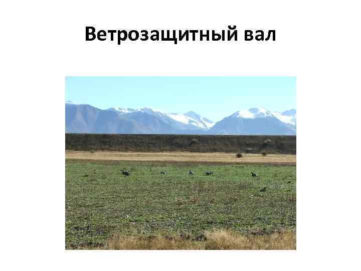 Ветрозащитный вал 
