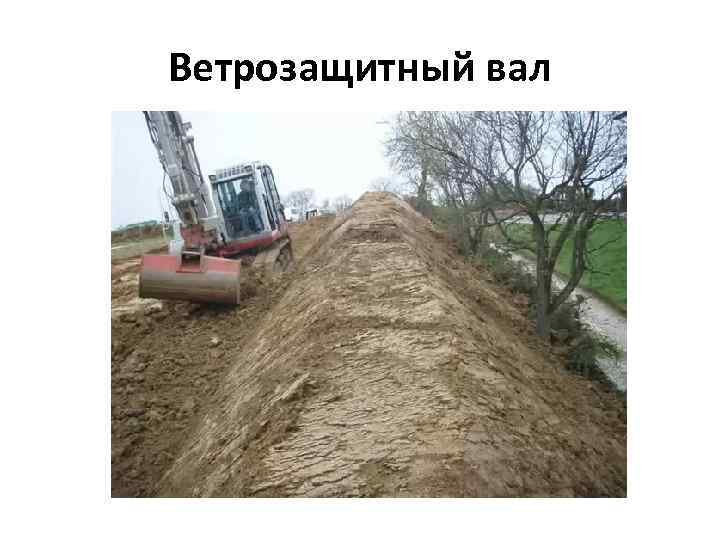 Ветрозащитный вал 