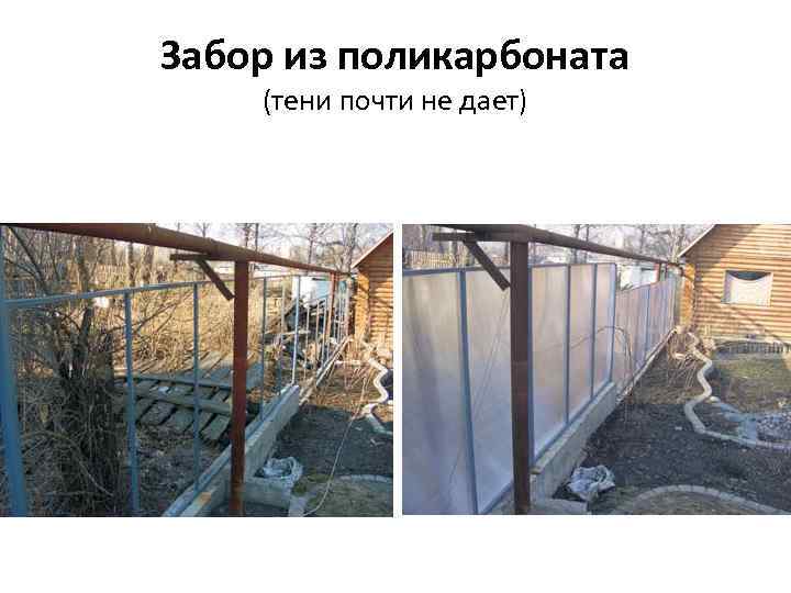 Забор из поликарбоната (тени почти не дает) 