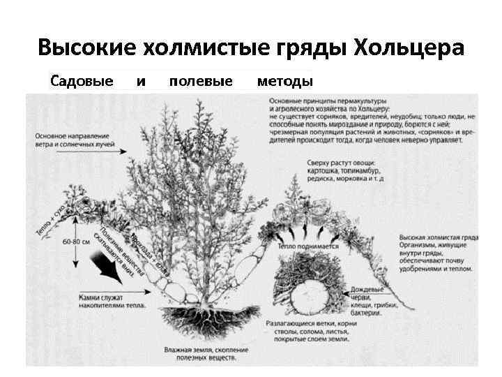 Высокие холмистые гряды Хольцера 