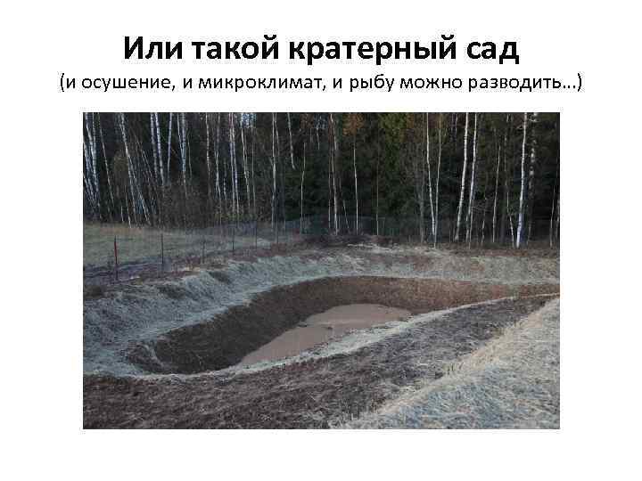 Или такой кратерный сад (и осушение, и микроклимат, и рыбу можно разводить…) 
