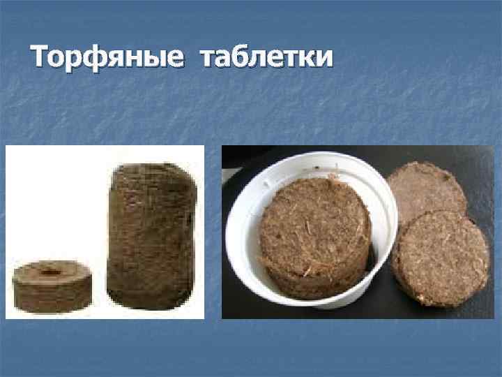 Торфяные таблетки 