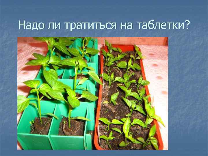 Надо ли тратиться на таблетки? 