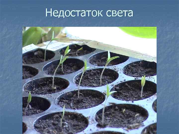 Недостаток света 