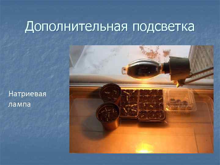 Дополнительная подсветка Натриевая лампа 